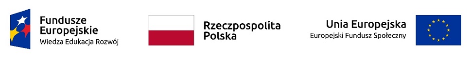 Logotypy: Fundusze Europejskie, Rzeczpospolita Polska, UE EFS